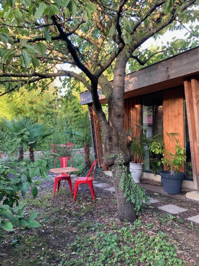 Un Jardin En Apartamento
